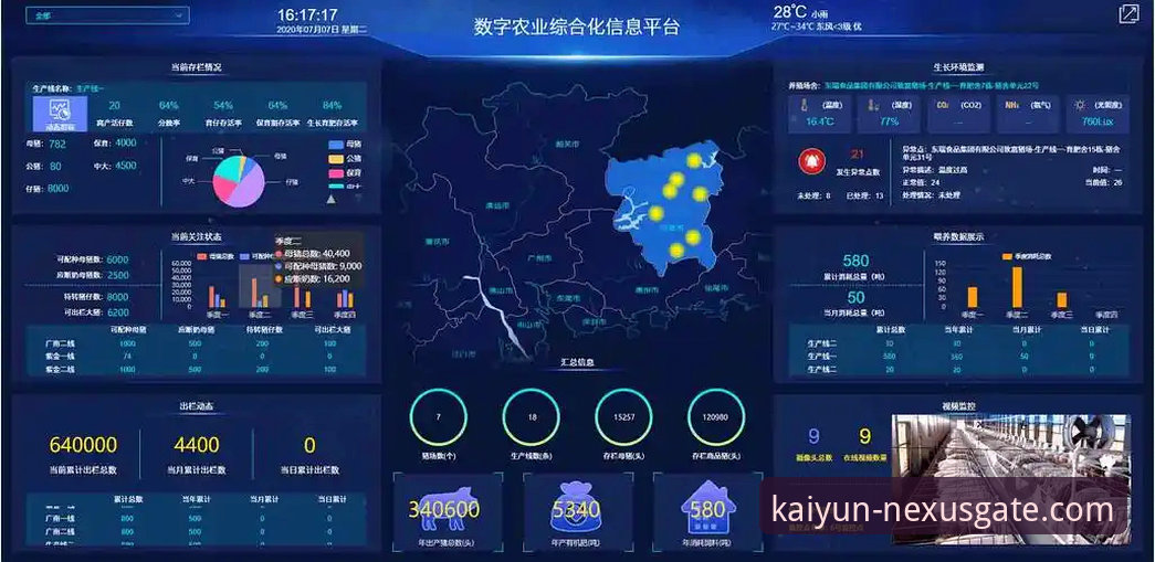 如何通过KAIYUN官方安全通道网址直达开云体育平台？